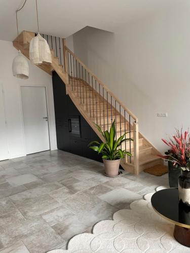 Les Maisons Aintzira Leku (Saint-Pée-sur-Nivelle) – AXIAS Habitat – Programme immobilier – Pau