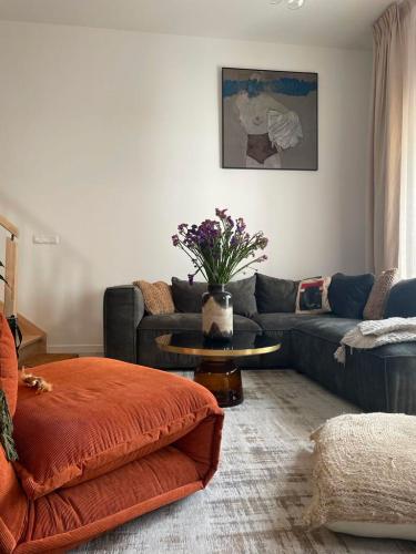 Les Maisons Aintzira Leku (Saint-Pée-sur-Nivelle) – AXIAS Habitat – Programme immobilier – Pau